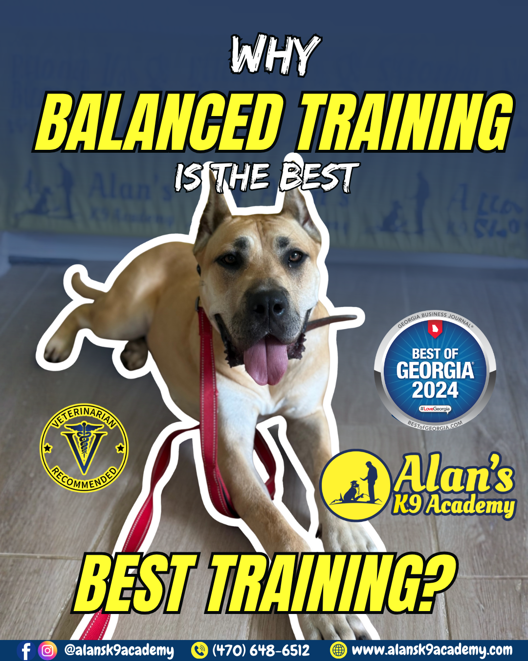 Alan's K9 Academy | Dog Training in North Metro Atlanta, GA